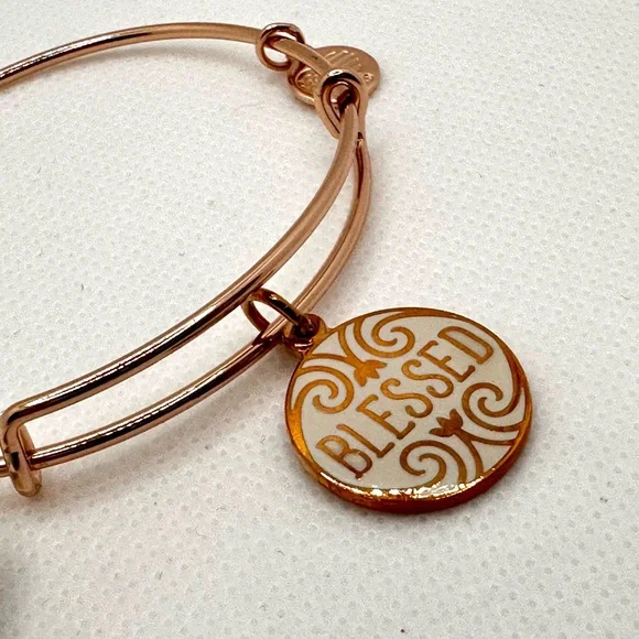 Alex and Ani Gold 'Blessed' Charm Bracelet - Picture 3 of 4